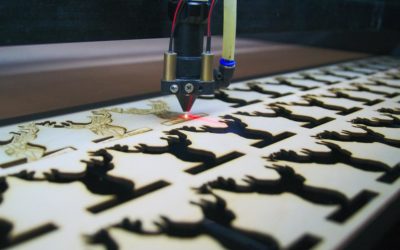 Botoro dołącza do Klubu Biznesu